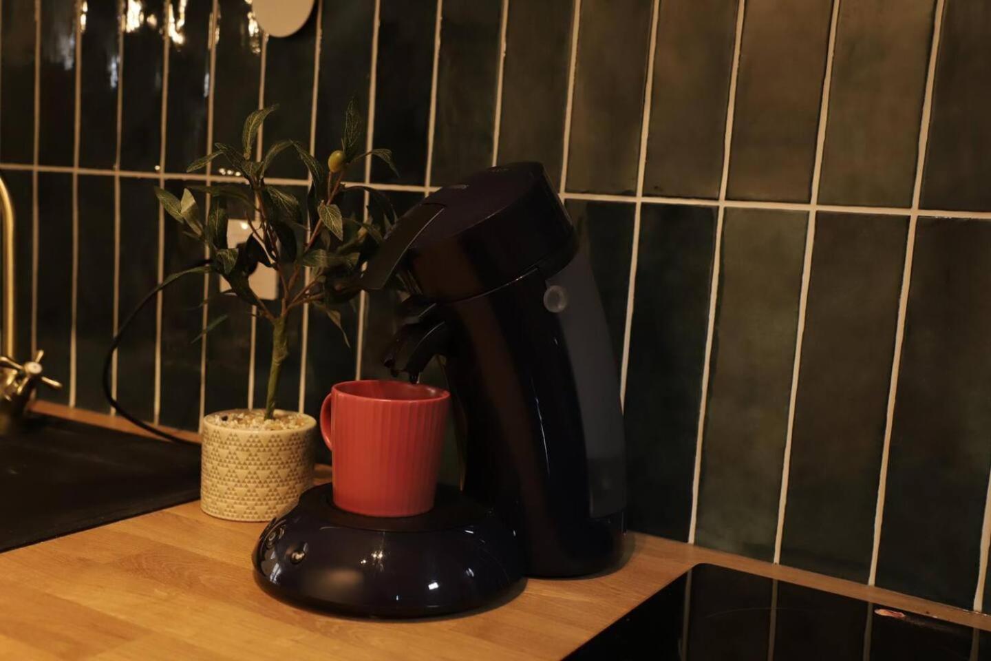 Appartement 2 Pieces Au Raincy Proche De Paris Le Raincy المظهر الخارجي الصورة
